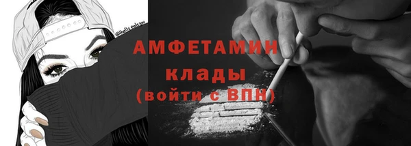 гидра Арсеньев