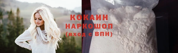 гидра Аркадак