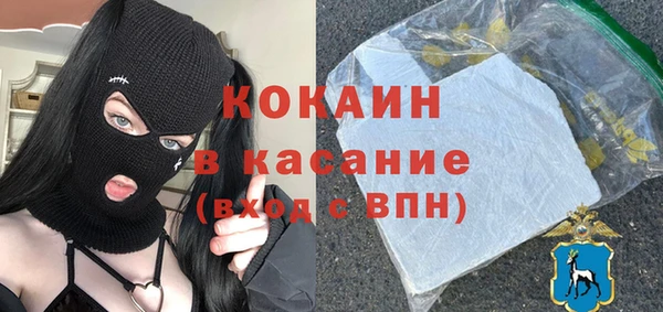 гидра Аркадак