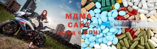 гидра Аркадак