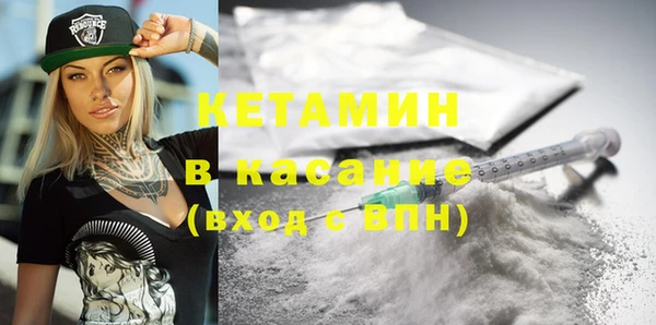 гидра Аркадак