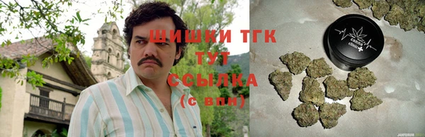 гидра Арсеньев