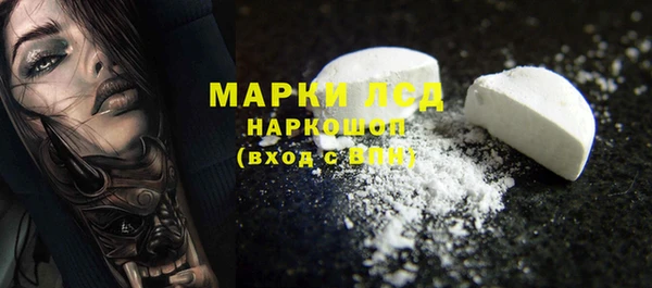 гидра Аркадак