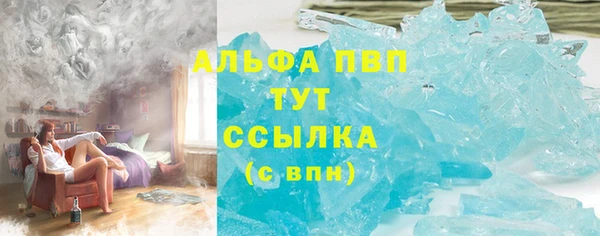 гидра Арсеньев